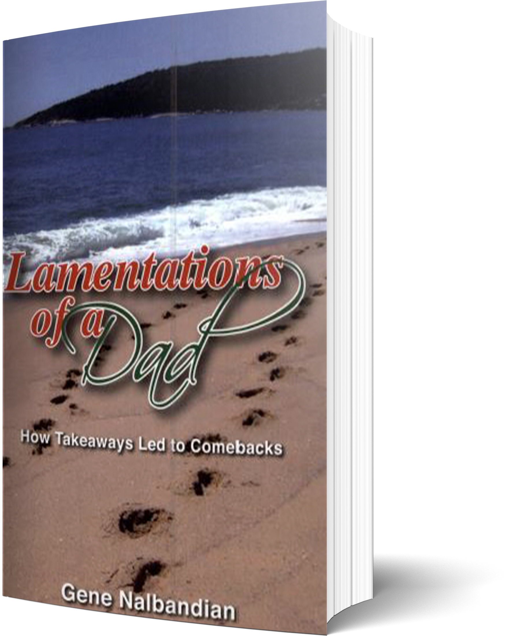 Lamentations of a Dad Book Cover